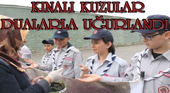 Kınalı Kuzular Dualarla Uğurlandı