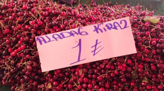 KİRAZ BU YIL PARA ETMEDİ