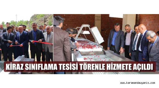 KİRAZ ÜRETİMİ..