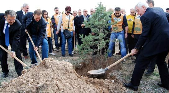 Kmü Yerleşkesi Ağaçlandırılıyor