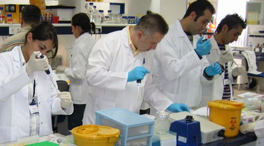 Kök Hücre'den Kanser Aşısı