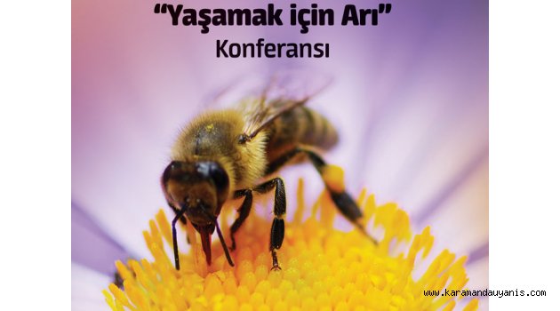 KOP İDARESİ’NDEN ARI KONFERANSI