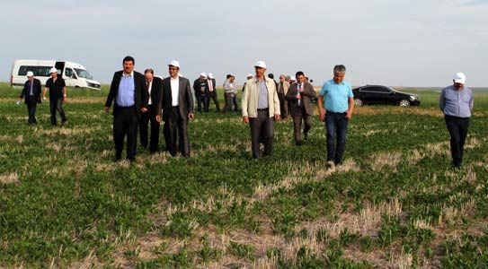 Kop Bölgesi’nde Doğrudan Ekim Modeli