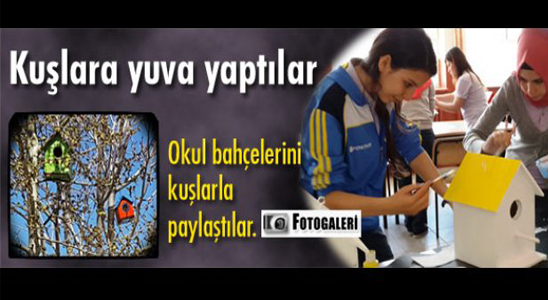 Kuşlar Yeni Yuvalarında Daha Rahat
