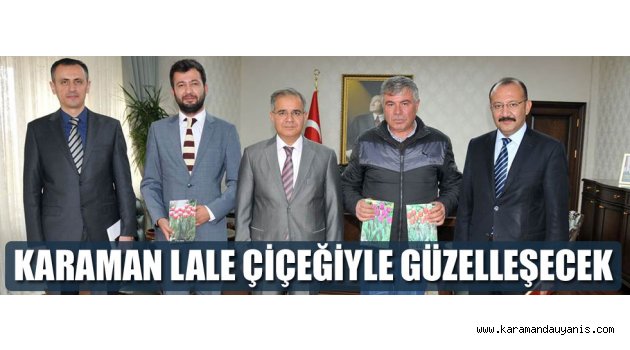LALE ÇİÇEKLERİ..