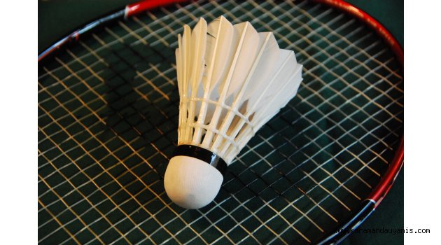 Essay my hobby playing badminton