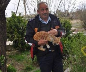 Mahsur Kalan Kedi Kurtarıldı