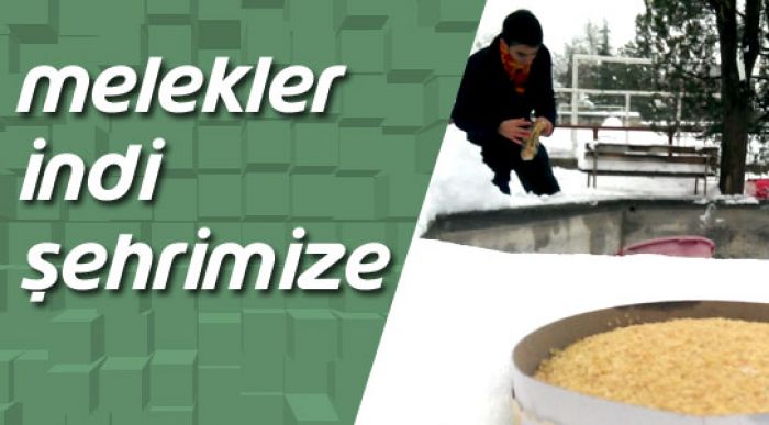 Melekler İndi Şehrimize