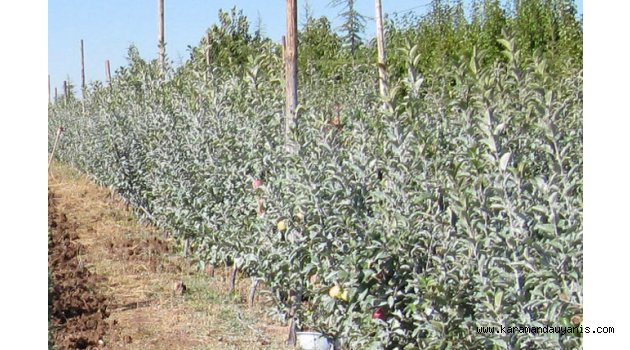 METEOROLOJİDEN "ZİRAİ DON" UYARISI