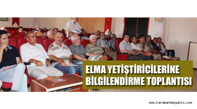 MEYVE ANALİZLERİ
