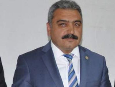 Meyve Ağaçlarını Soğuk Vurdu