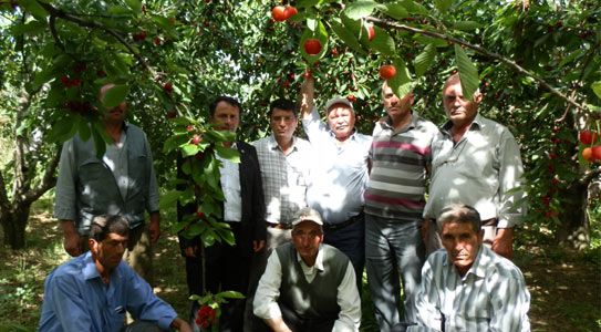 Meyve Üreticisine Yerinde Eğitim
