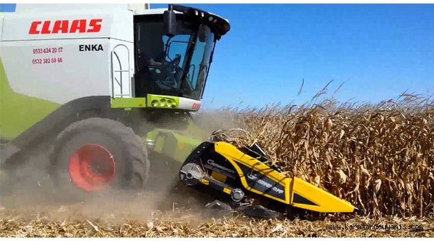 MISIR HASADI BAŞLADI, GÖZLER TMO’DA