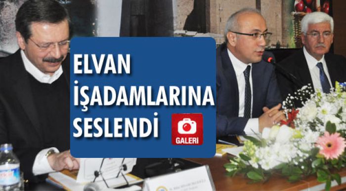 Nitelikli Personel