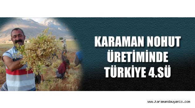NOHUT HASADI..