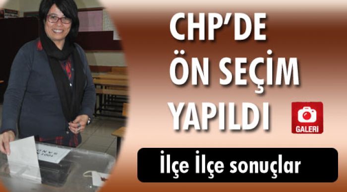 Ön Seçim Sonuçları