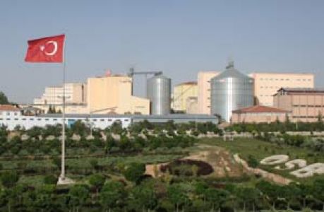 Osb'de Seçimler