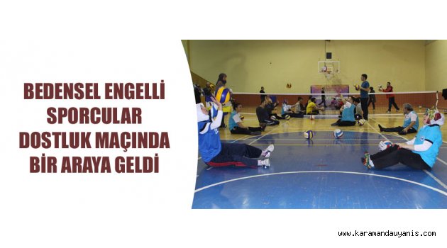 Oturarak Voleybol Ligi