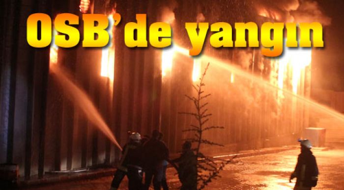 Palet Fabrikası Yandı