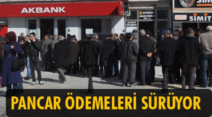 Pancar Ödemeleri Sürüyor