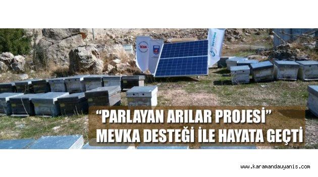 PARLAYAN ARILAR PROJESİ