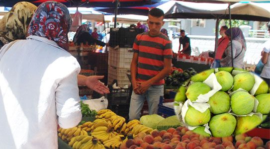 Perşembe Pazarı’nın Kralı İncir