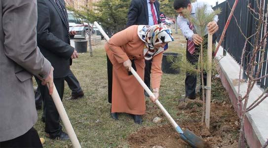 Pesonelin Örnek Dayanışması