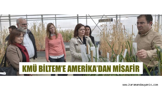 Proje çalışmaları
