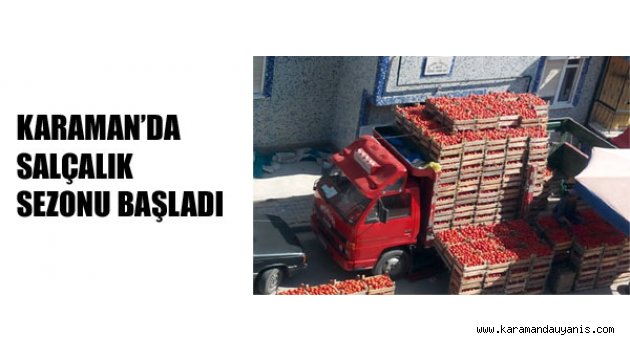 SALÇALIK SEZONU BAŞLADI