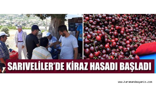 Sarıveliler’de meyvecilik..