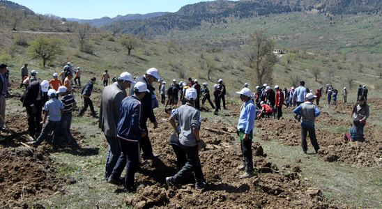 Sarıveliler’de Öğrenciler Fidan Dikip Uçurtma Uçurdu