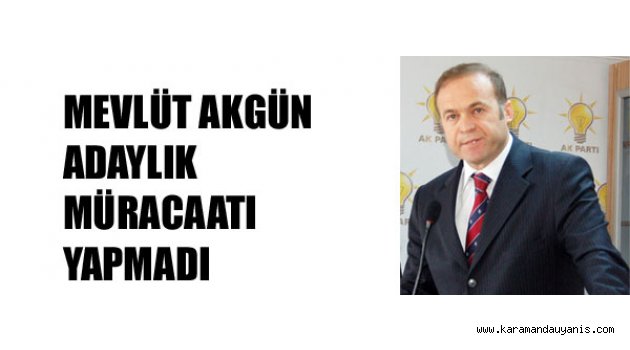 SEÇİM 2015