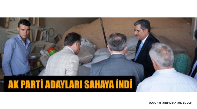 SEÇİM 2015