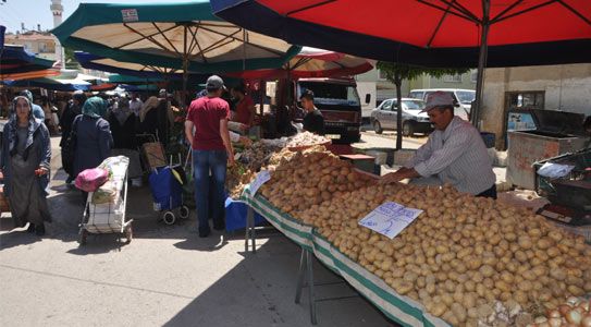 Sıcaklar İçin İlginç İstek