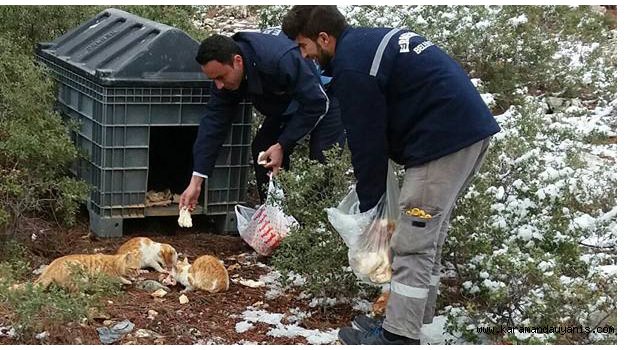SOKAK HAYVANLARINI UNUTMADI