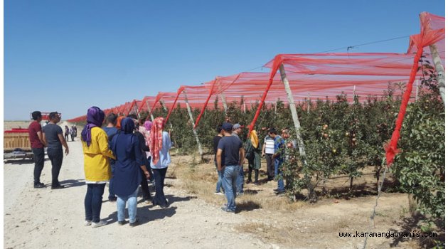 STAJYER ÖĞRENCİLERE TEKNİK GEZİ
