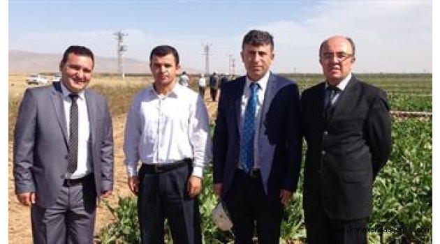 SUDURAĞI'NDA ŞEKER PANCARI TARLA GÜNÜ