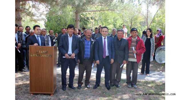 Sürü Yönetimi Elemanı