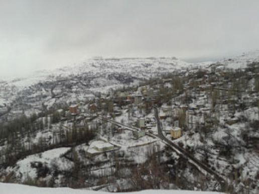 Tahminleri Tuttu