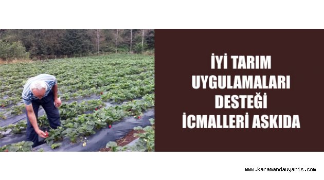 Tarım Uygulamaları Desteği..