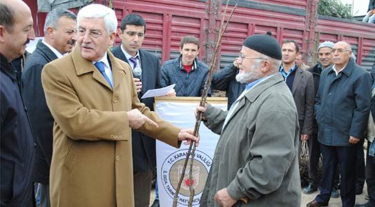 Tarım İl Müdürlüğü 40 Bin Meyve Fidanı Dağıttı
