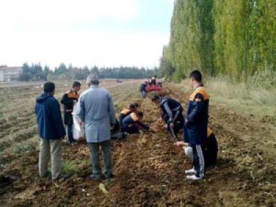 Tarım'da Meslek Standartları