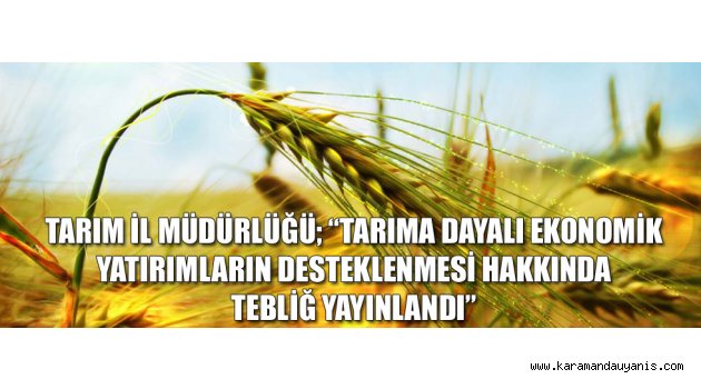 Tarımsal pazarlama altyapısı..