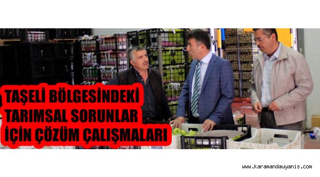 TARIMSAL SORUNLAR