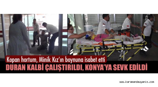 TARLA'DA ÜZÜCÜ KAZA..