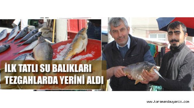 TATLI SU BALIKLARI