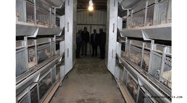 TAVUK İŞLETME TESİSLERİ İNCELENDİ