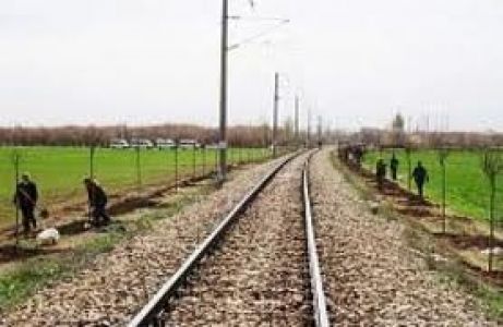 Tcdd'den İlaçlama Duyurusu