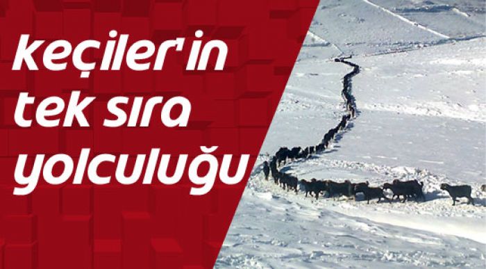 Tek Sıra Yolculuk