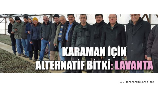Tıbbi ve aromatik bitkiler